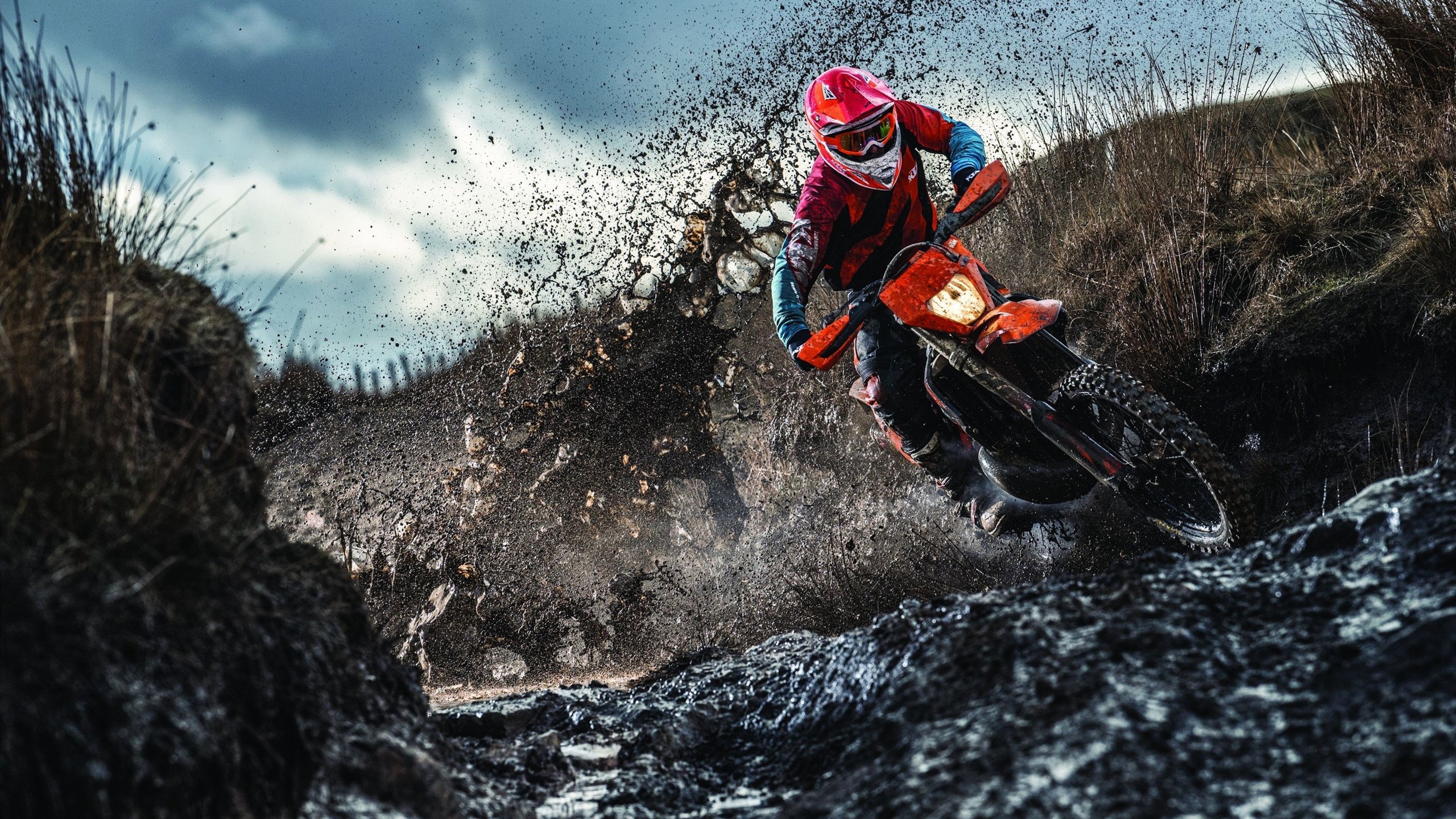 弗朗索瓦·斯图尔特：南非队的节奏调控者，决定比赛的攻防走向