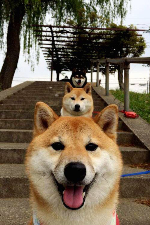 _魔术逆境奋起,连胜势头一发不可收拾_,2021魔术揭秘