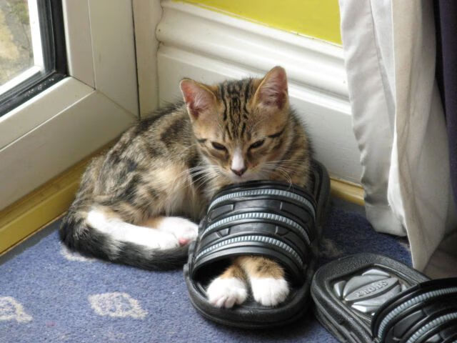 爱游戏体育（AYX）官方APP下载-“青训基地引入国际先进设备，打造专业化育人环境”，青训中心是干嘛的